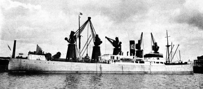 The Swedish ship C. F. Liljevalch in Cardiff Docks