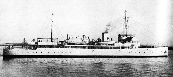 SOUTH AFRICAN SURVEY SHIP, the Protea