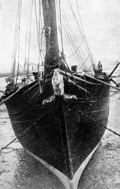 THE BOW AND FIGUREHEAD of the schooner Sidney