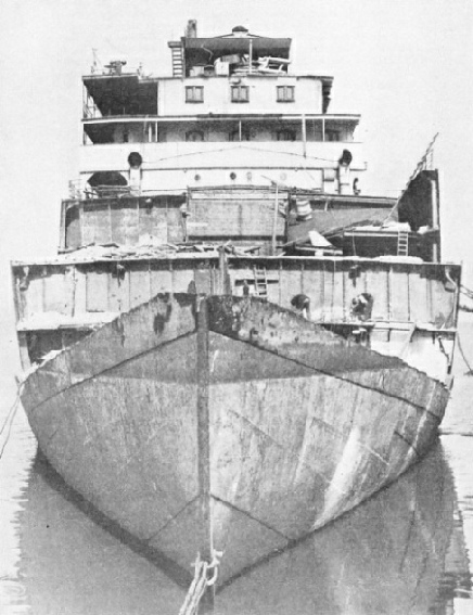 The Jamaica Planter was one of the fast banana ships