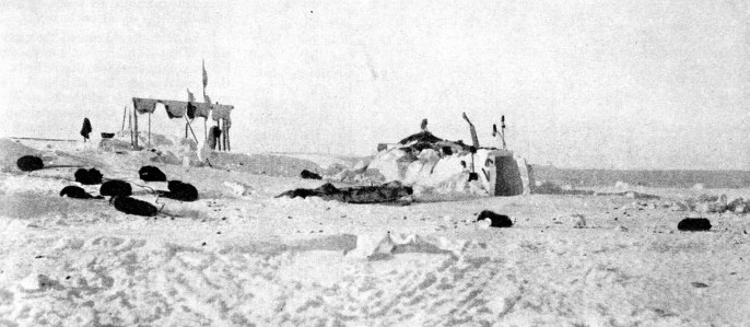 AN ESKIMO CAMP near Coronation Gulf, Canadian North West Territories