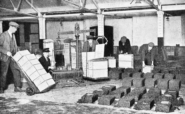 A LARGE CONSIGNMENT OF CURRANTS AND SULTANAS being weighed at the London Docks