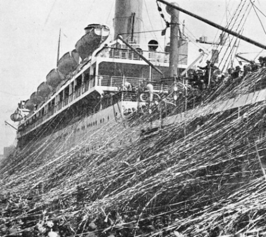 The gaily-coloured mass of streamers thrown down from the deck of an Orient liner on to a quay at Sydney break as the vessel moves away