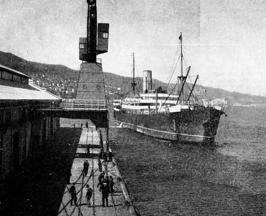 THE SHIP Ruapehu arrives at Wellington, New Zealand