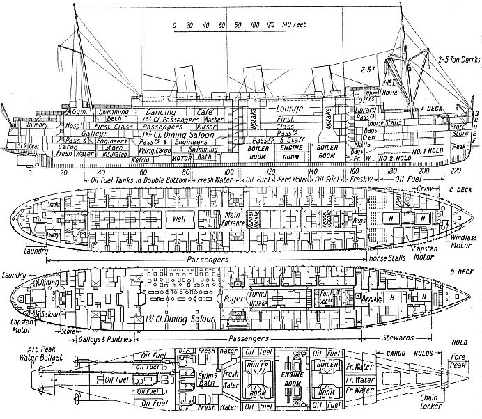 The Monarch of Bermuda