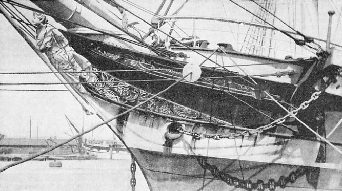 THE GRACEFUL STEM and figurehead of the Port Jackson