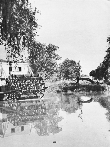 "Amy Hewes" stern-wheeler