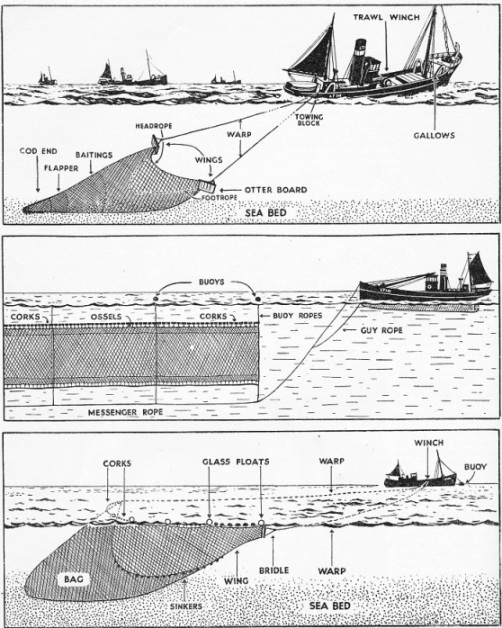 THREE PRINCIPAL METHODS OF DEEP-SEA FISHING are illustrated here