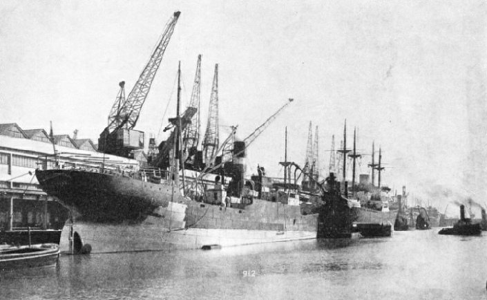 REINFORCED CONCRETE TRANSIT SHEDS are used for dealing with grain and general cargo at the Eastern Arm of the Royal Edward Dock 