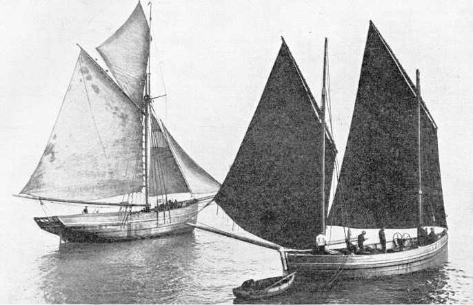 THE MOUNT’S BAY LUGGER, with her characteristic pointed stern
