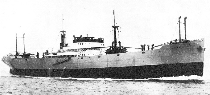 The Villanger, is a twin-screw vessel of 4,884 tons gross